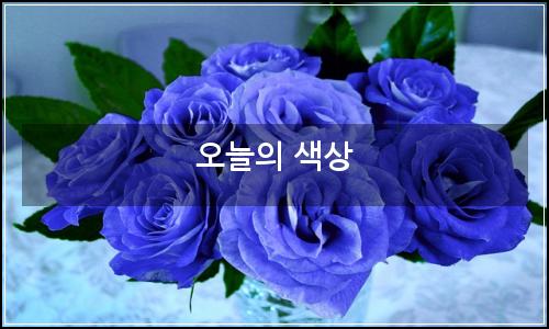 오늘의 이미지
