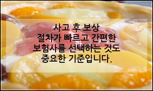 오늘의 이미지