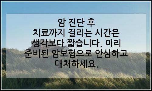 오늘의 이미지