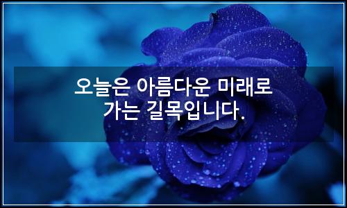 오늘의 이미지