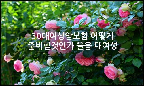 오늘의 이미지