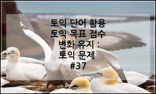 오늘의 이미지