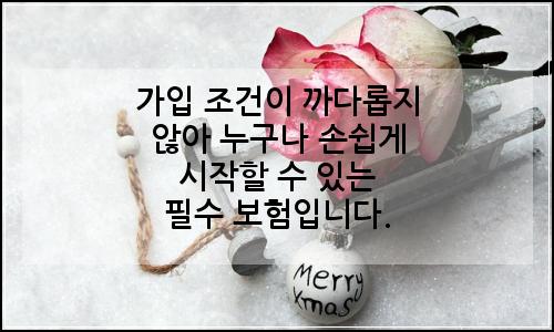 오늘의 이미지