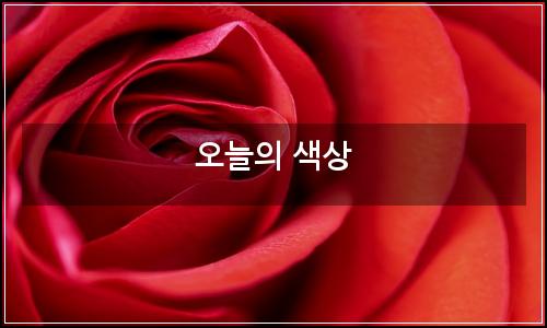 오늘의 이미지