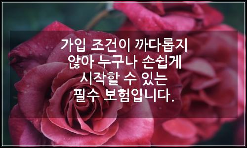 오늘의 이미지