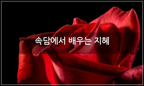 오늘의 이미지