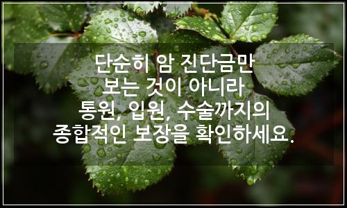 오늘의 이미지