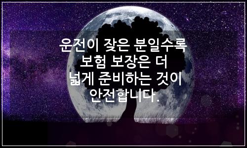 오늘의 이미지
