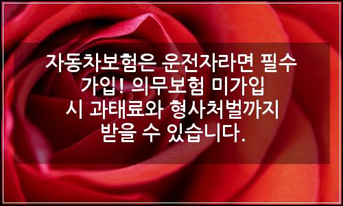오늘의 이미지