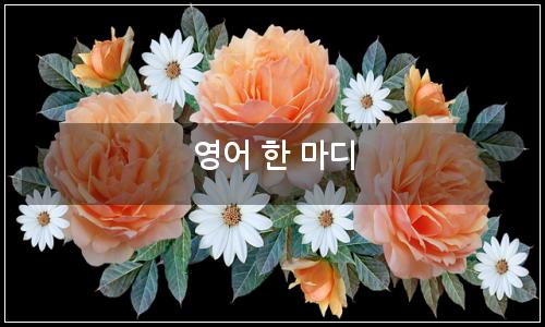 오늘의 이미지