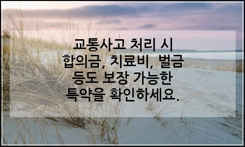 오늘의 이미지