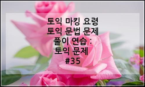 오늘의 이미지