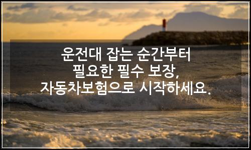 오늘의 이미지