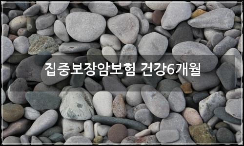 오늘의 이미지