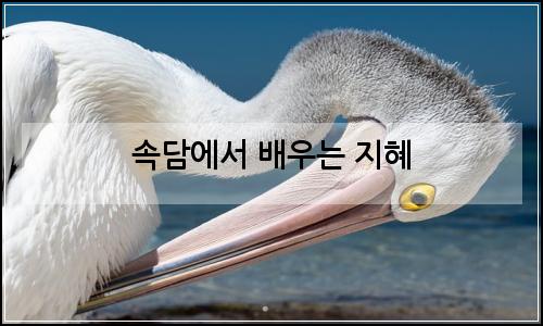 오늘의 이미지