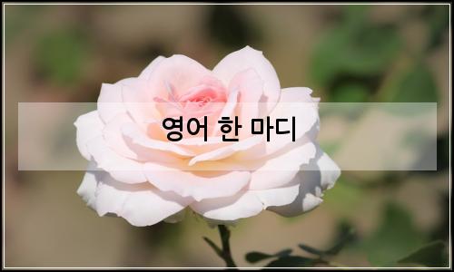 오늘의 이미지