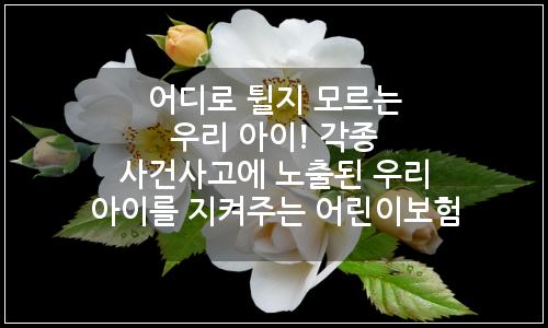 오늘의 이미지