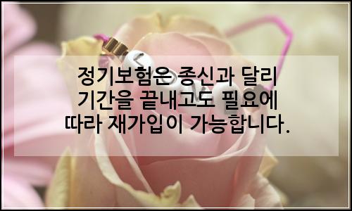 오늘의 이미지