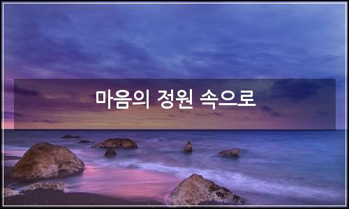 오늘의 이미지