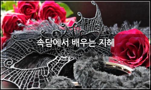 오늘의 이미지