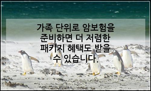 오늘의 이미지
