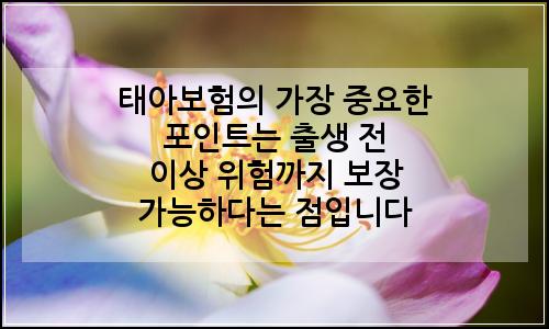 오늘의 이미지