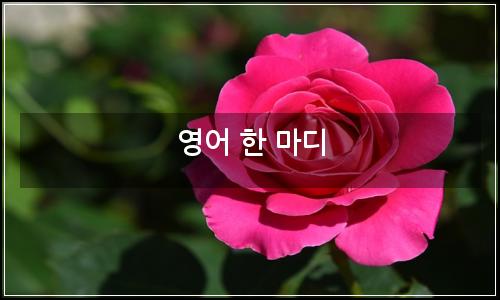 오늘의 이미지