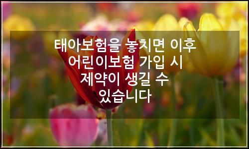 오늘의 이미지