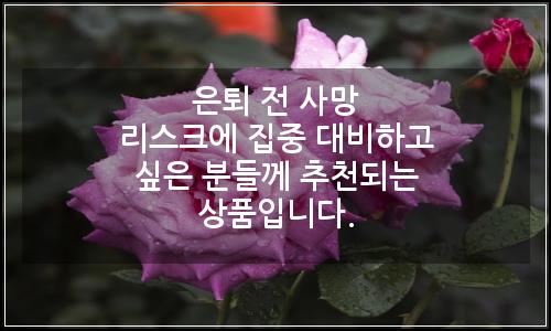 오늘의 이미지