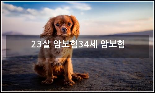 오늘의 이미지