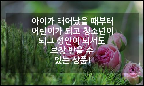 오늘의 이미지