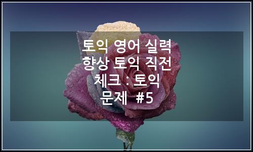 오늘의 이미지