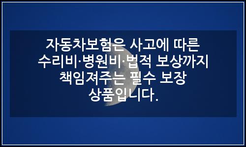 오늘의 이미지