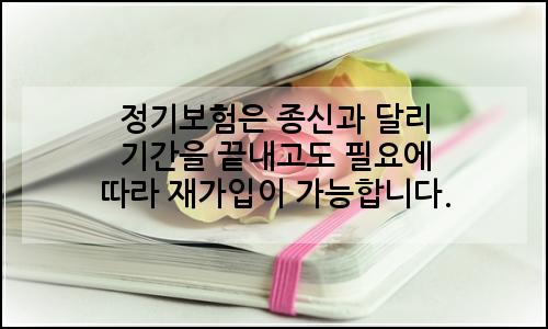 오늘의 이미지