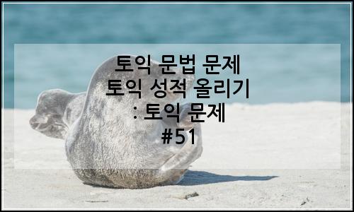 오늘의 이미지