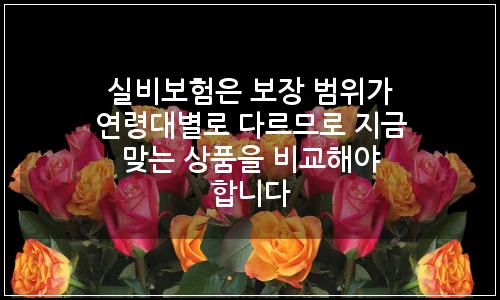 오늘의 이미지