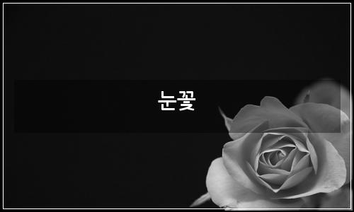 오늘의 이미지