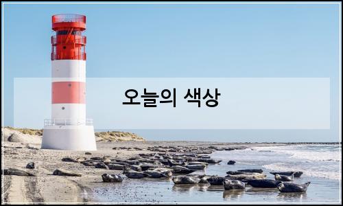 오늘의 이미지