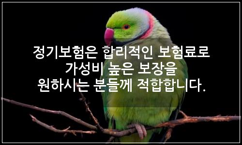 오늘의 이미지