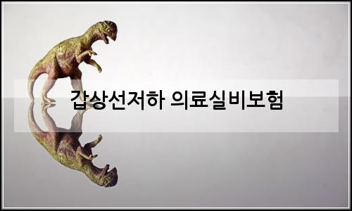 오늘의 이미지