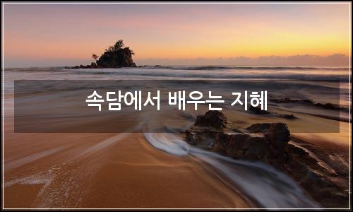 오늘의 이미지