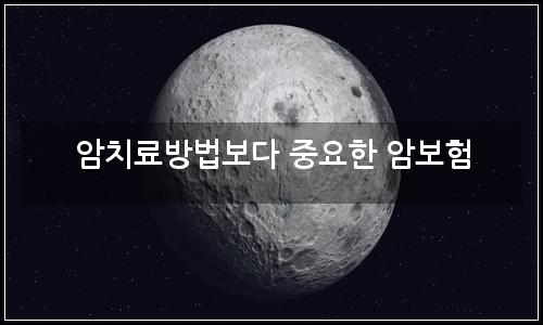 오늘의 이미지