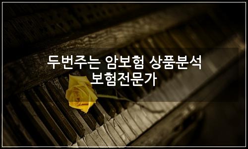오늘의 이미지