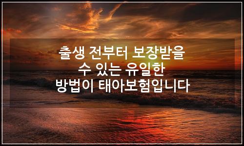 오늘의 이미지