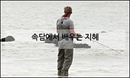 오늘의 이미지