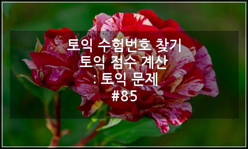 오늘의 이미지