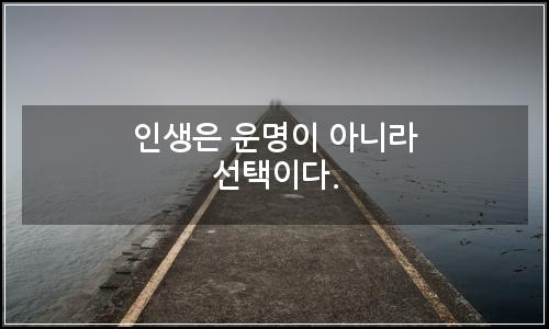 오늘의 이미지