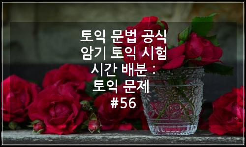 오늘의 이미지