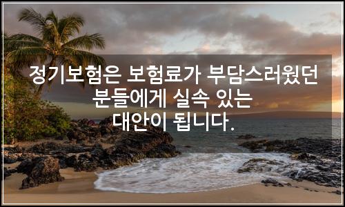 오늘의 이미지