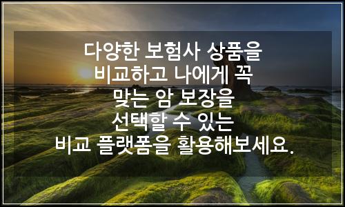 오늘의 이미지